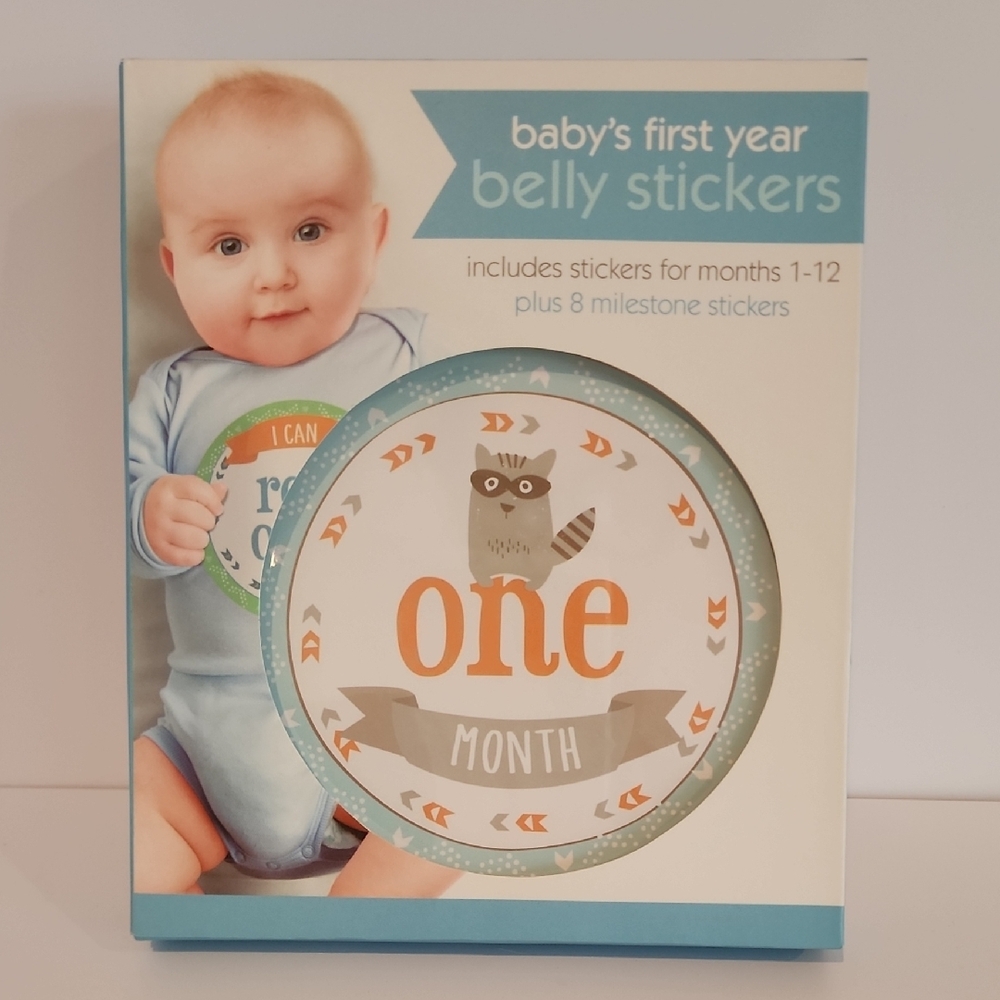 Baby's First Year Belly Stickers